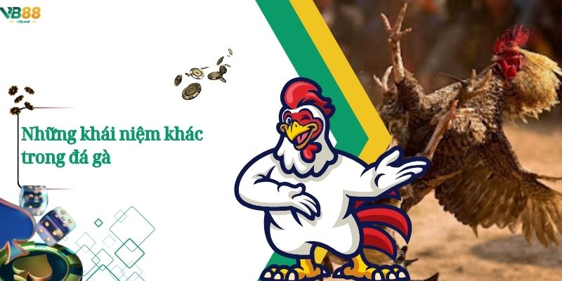 Những khái niệm khác trong đá gà 