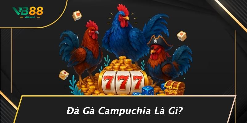 Đá Gà Campuchia Là Gì?